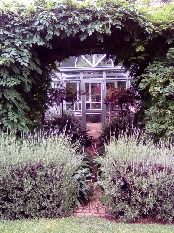 Doveton House Bed & Breakfast Johannesburg Exterior photo